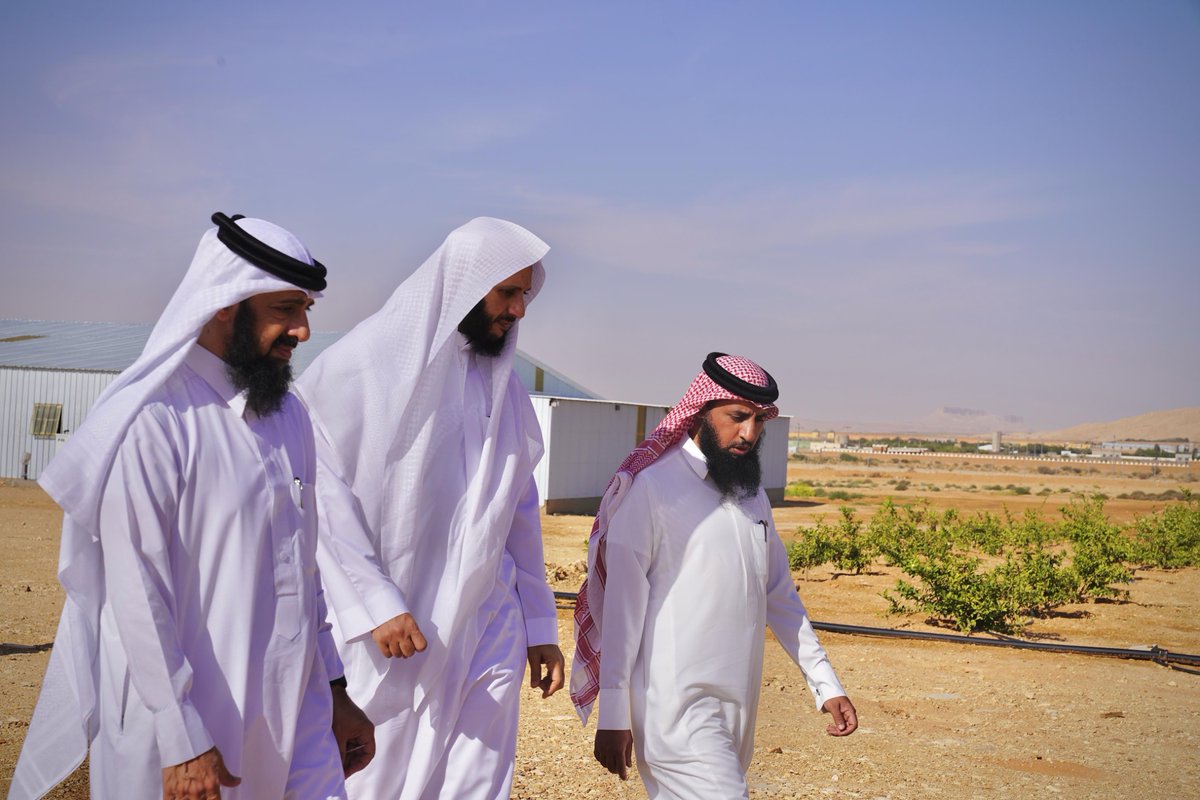 جمعية التمور للخدمات الانسانية tweet media