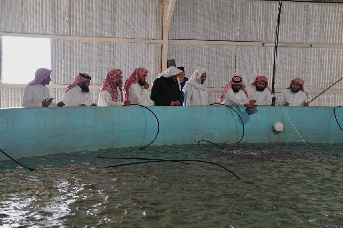 جمعية التمور للخدمات الانسانية tweet media