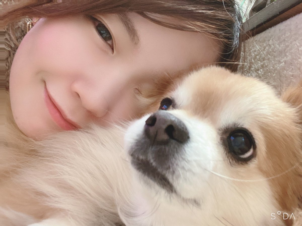 _natsu_718's tweet photo. 21日の早朝、お空に旅立ちました🐶
ラリーにいた時には、わんにゃんカウントアップに当選して皆でぽんた出た！っていってくれて職場でも私の癒しでした。

ぽんたにおやつを差し入れしてくださったり体調を心配して声をかけてくださった方々、本当にありがとうございました！

14年間ありがとう🫶 https://t.co/xwC6FGBOh1