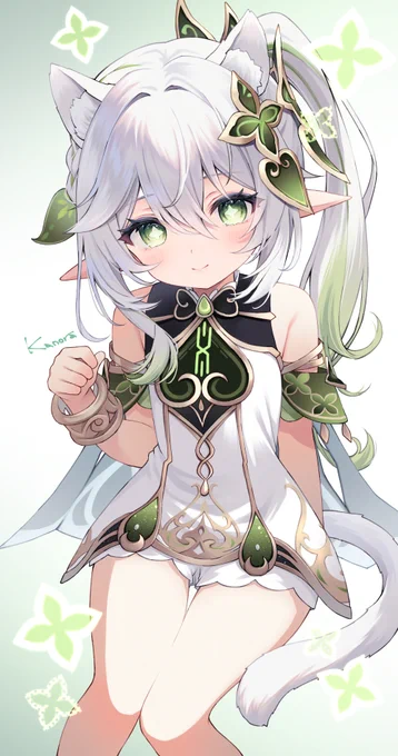 ニャヒーダ#猫の日 
