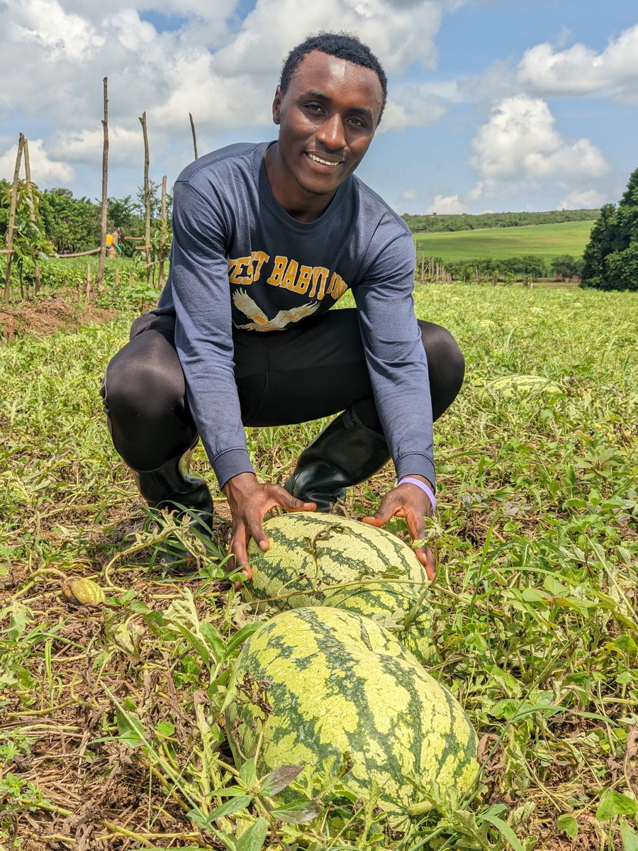 Pacifique DUSABIMANA👨🌾 tweet media