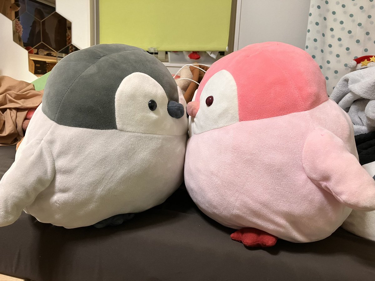 なにしてるん❓
#コウペンちゃん
#にらめっこ