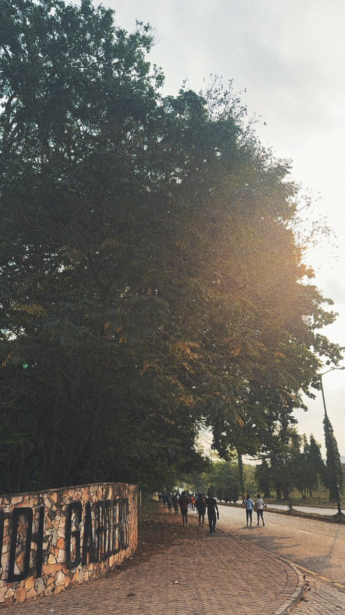 Big Spoon tweet media