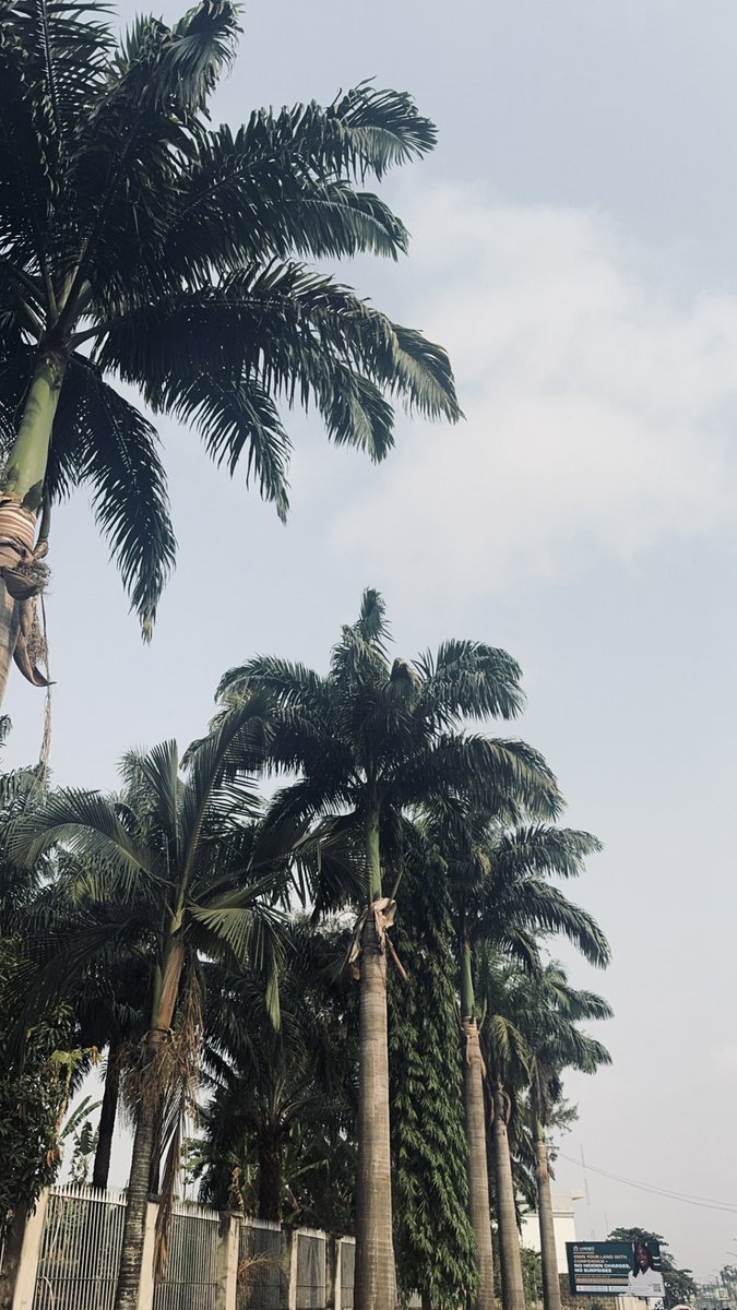 Big Spoon tweet media