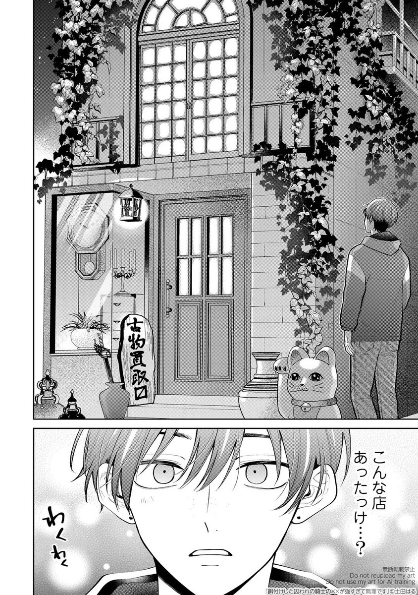 冷蔵庫が異世界の牢屋と繋がってたので
囚われの騎士にご飯食べさせます
(3/4) 