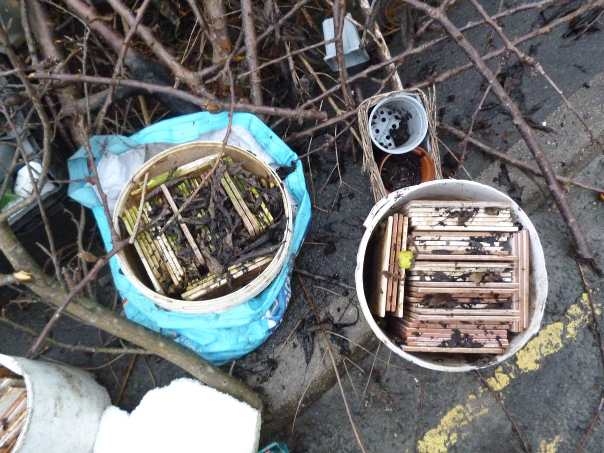 Friends of Lister Lane Cemetery (KAVS) tweet media