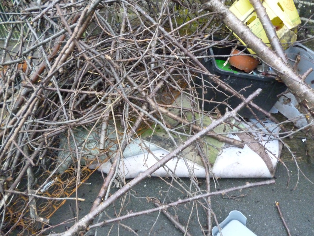 Friends of Lister Lane Cemetery (KAVS) tweet media