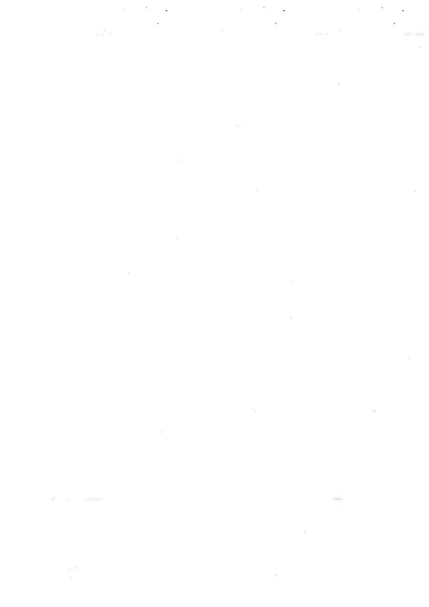 kiru ｡𖦹°‧ tweet media