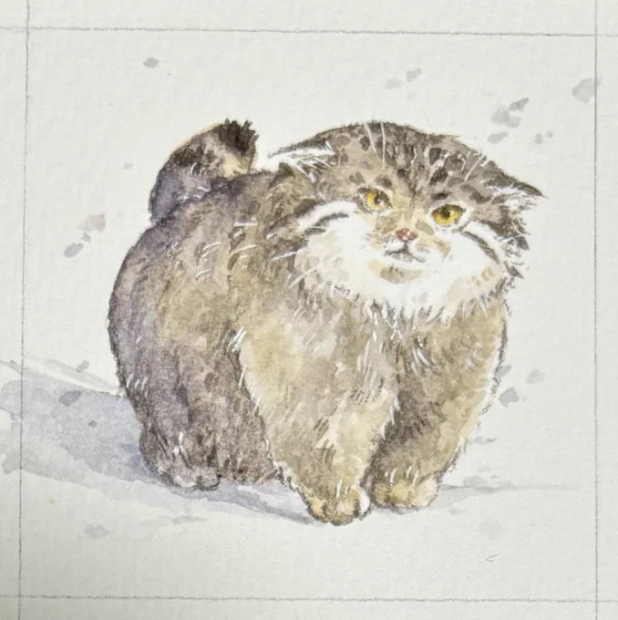 今日は猫の日です #猫の日 #猫の日2025 #にゃんにゃんにゃんの日