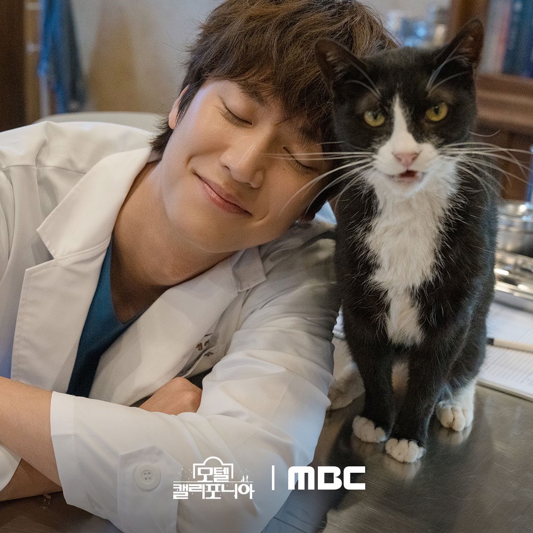 anadeath4173's tweet photo. 今日は猫の日🐈
世界中の猫が幸せでありますように☺️ https://t.co/TZbkbxLtO8