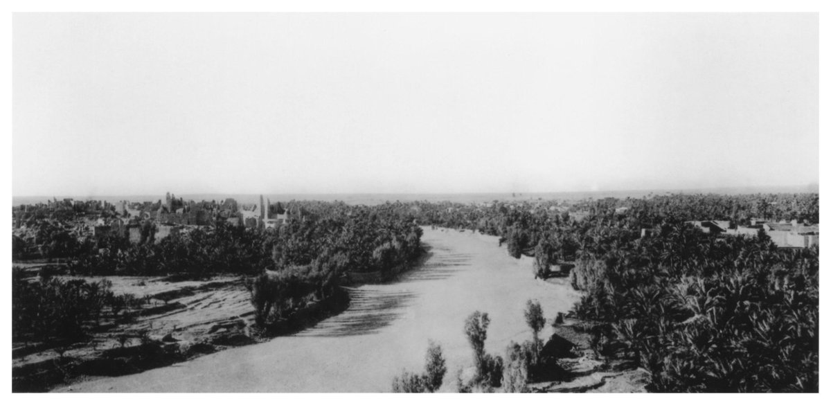 سيف بن حيان tweet media