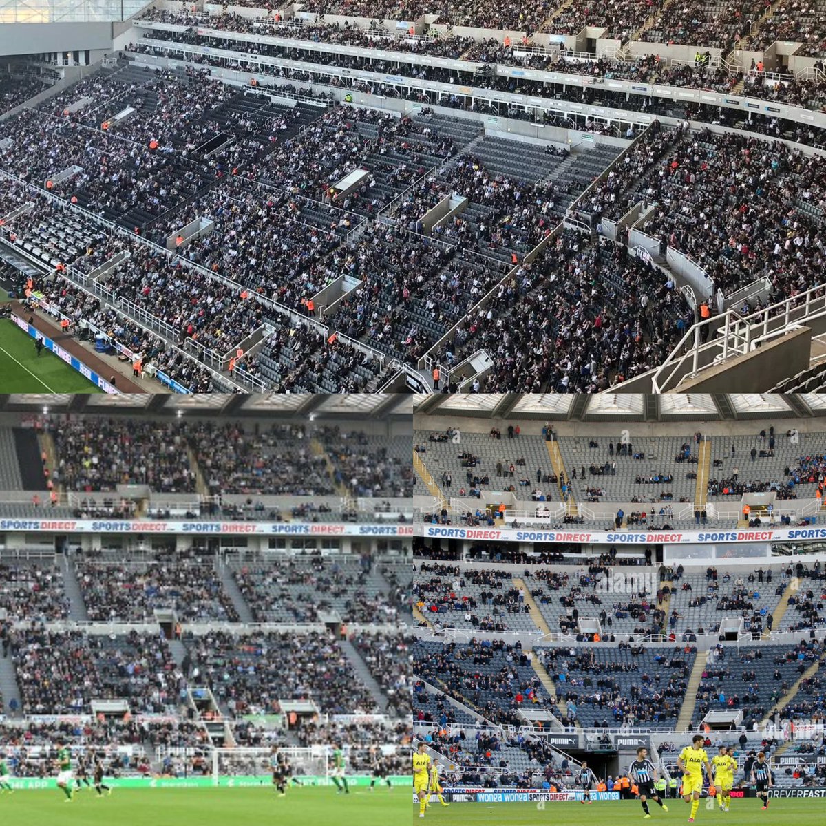 Andrew Shaw tweet media