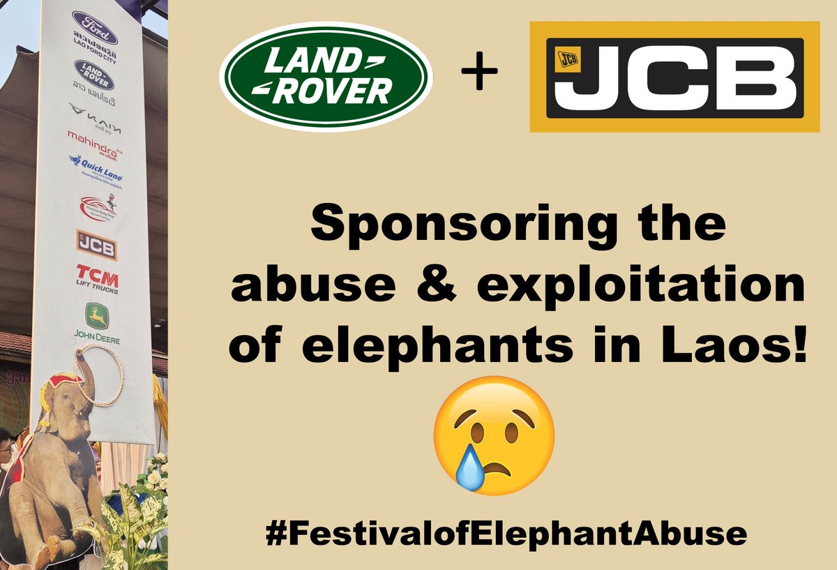 Ness Allan 🐘🐘🐘 tweet media