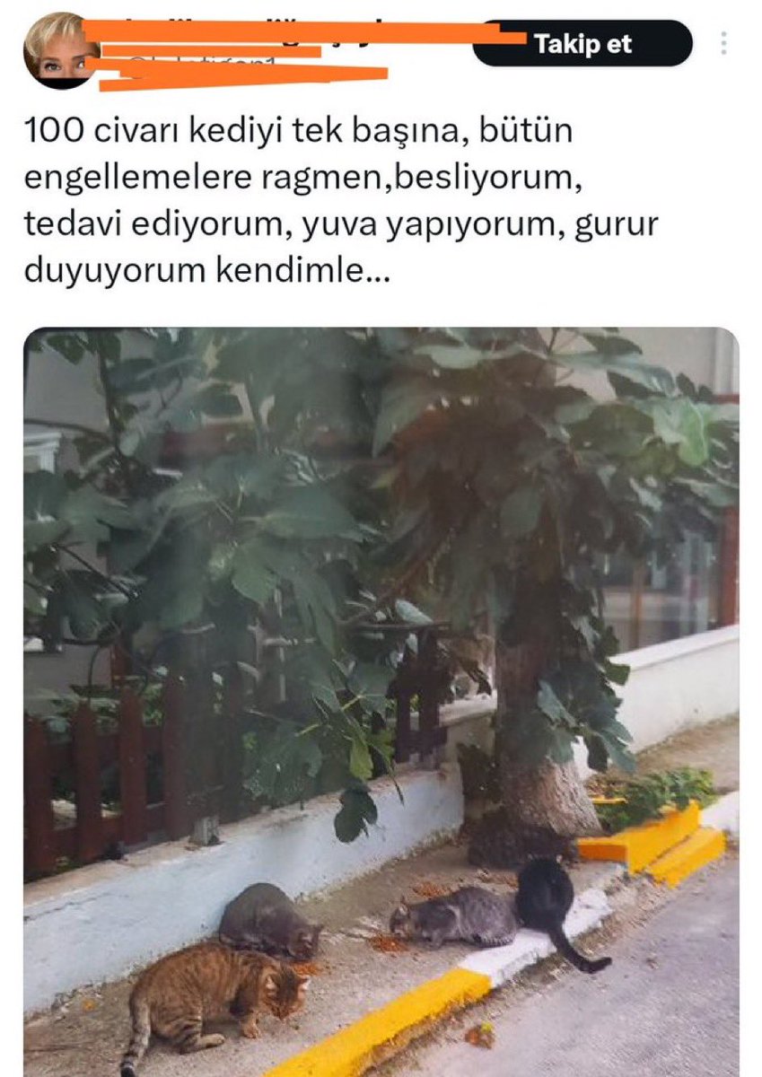 Prof Dr. Nebahat BULUT tweet media