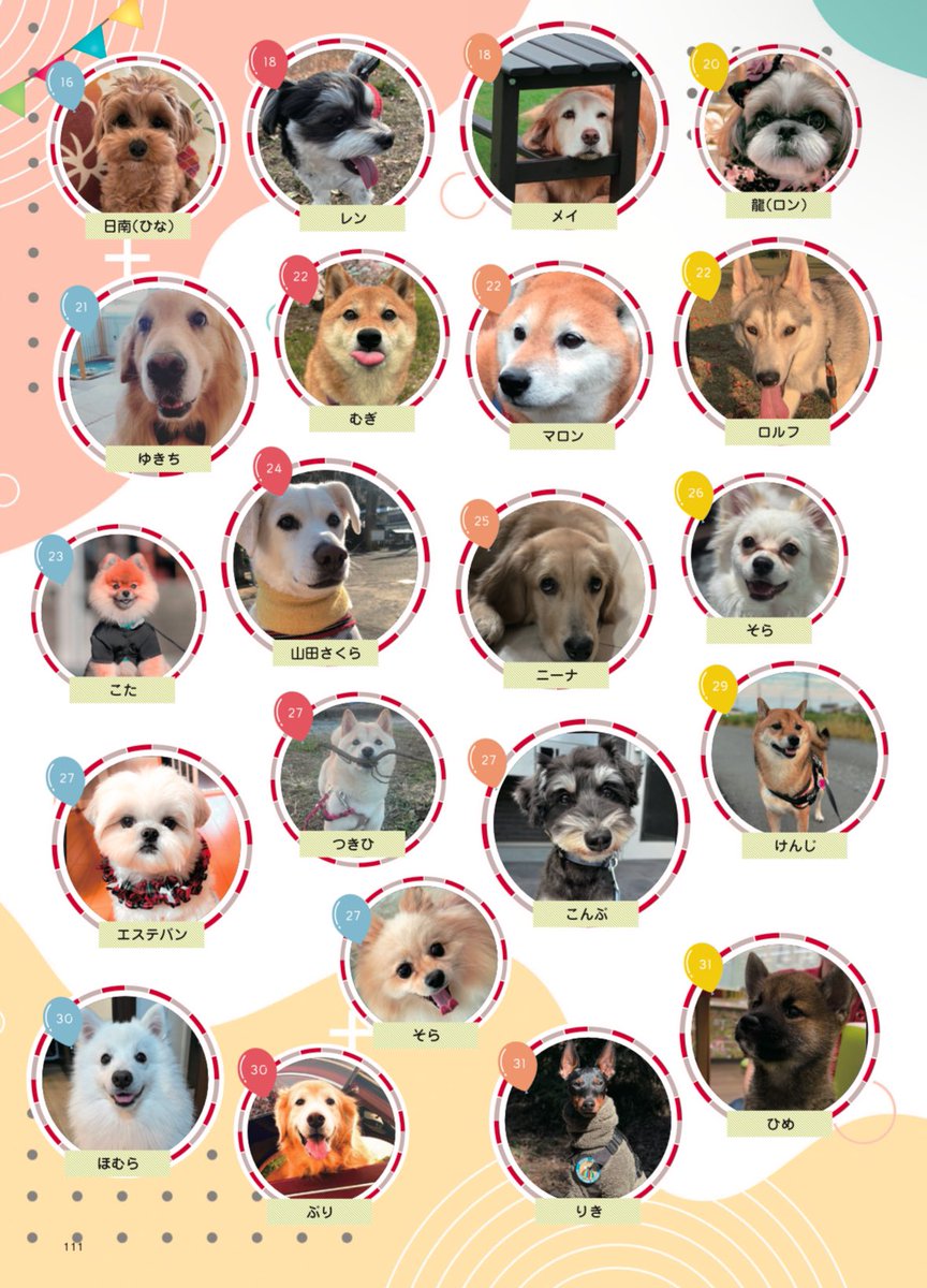 【4月生まれのワンちゃん大募集】4月生まれのワンちゃんの写真を送ってください！🐶㊗️月刊わんこvol.17「バースデーコーナー（4/15発売号）」に全て掲載させて頂きます📖🎂✨

【応募条件】
・<a href="/gekkan_wanko/">月刊わんこ編集部</a> をフォロー
・この投稿をRepost（RT）