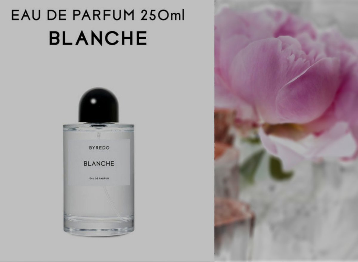 바이레도에서 
무려 블랑쉬 250ml 가 나오다니...🤦‍♀️🤍
250ml은 진짜..너무 탐나잖아아  (˘̴͈́ꈊ˘̴͈́)
내가 진짜 죽고못사는 향수가 있는데
걔는 바이레도 🌷라튤립🌷라튤립은 정말 또한번 백번 추천이에오 -`🫶´-
그리고 두번째가 블랑쉬 🤍

음. 근데 나. 바이레도만 좋아하넹 🦧🐒˚₊·