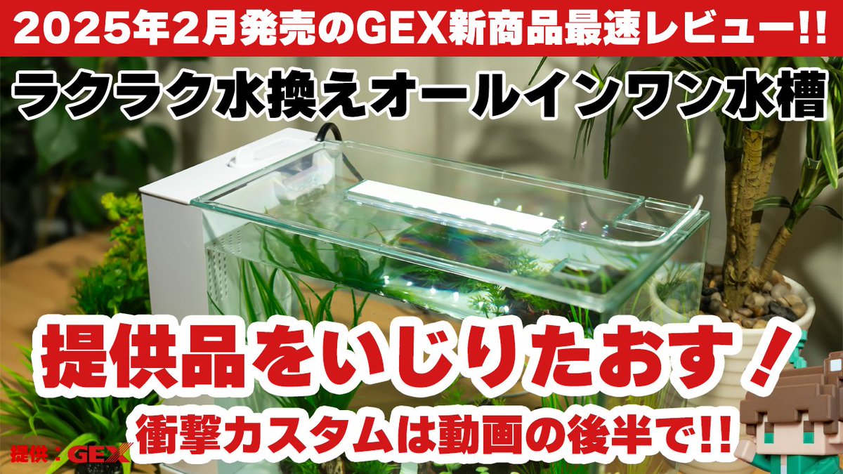 vivarium79info's tweet image. GEXさんのアワーズ、進化しました！
GEX HOURSが進化した！？レビュー動画での皆さんの疑問点にもお答えしました 【ビバアクア】 #アクアリウム #熱帯魚 #gex
youtu.be/VD5tQ5tThNU

レビュー動画もあります！