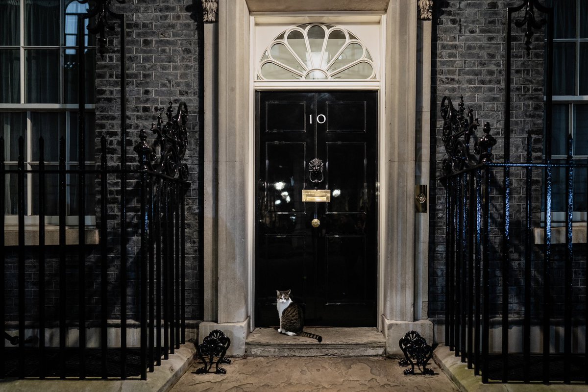 Larry the Cat, voor de deur van 10 Downing Street.
<a href="/Number10cat/">Larry the Cat</a> #larrythecat 
<a href="/nrc/">NRC</a> #10downingstreet
