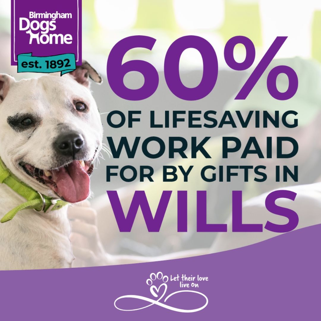 Did you know? 60% of our life-saving efforts are made possible each year by the generosity of kind individuals who left a gift in their Will in the past. Write your Will for FREE today!
birminghamdogshome.org.uk/support-us/lea…
