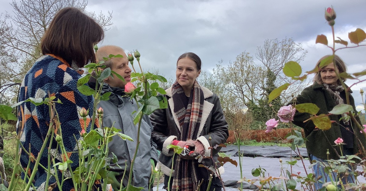 Reach Learning Disability tweet media