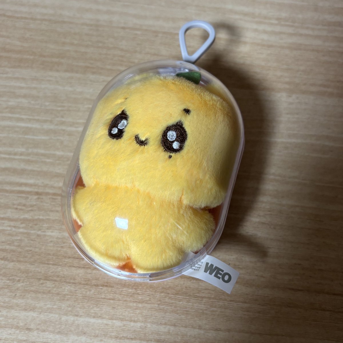 바보귤🍊
