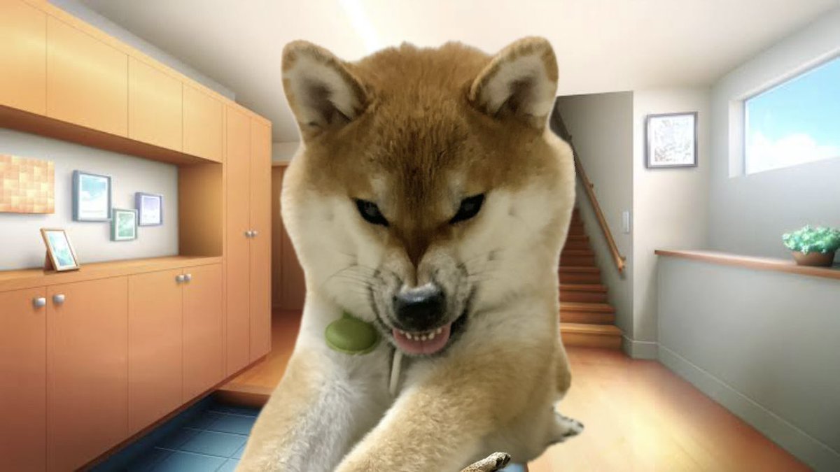 wafukoma's tweet photo. ←19:00帰宅　　　22:00帰宅→ https://t.co/L1RZoiX98R