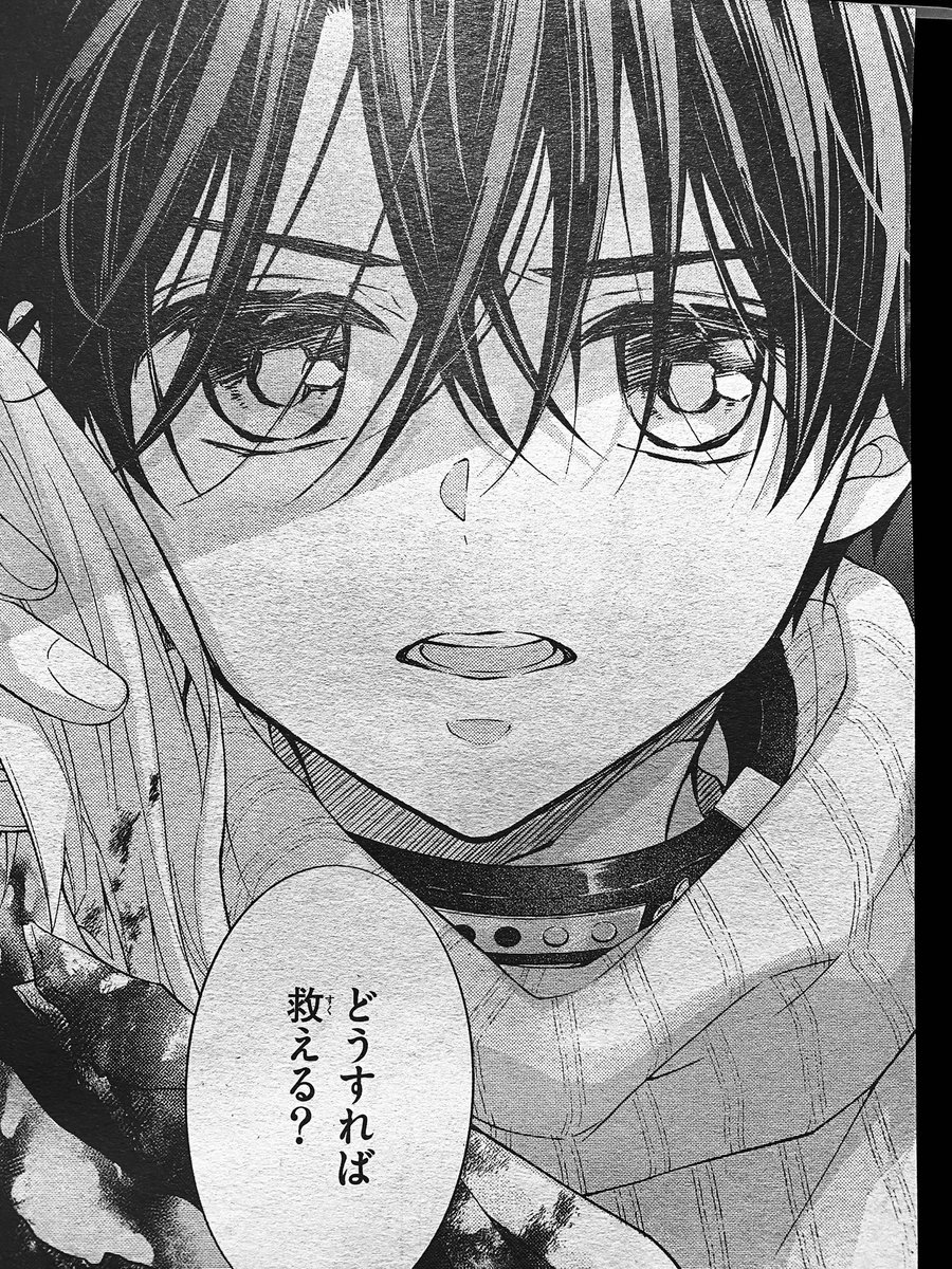 【お知らせ】
Sho-Comi6号に東京§神狼22話🐈が載ってます⛩🐺
シリアス~~~な回です
次号、過去から現在へ!新章開幕!
よろしくお願いいたします🙇♀️✨