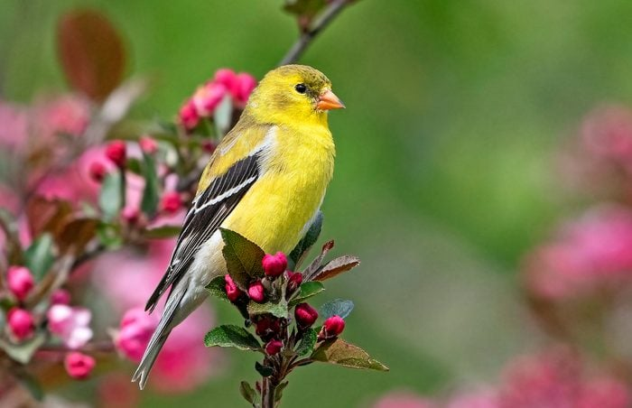 trendy_house_'s tweet photo. The story follows an aging man named Finch, a survivor in a now nearly uninhabitable Earth, who builds and teaches a robot to take care of his dog when he dies.
#Finch #BirdWatching #NatureLovers #WildlifePhotography #AvianBeauty #BirdsOfInsta #FeatheredFriends #NatureDocumentary https://t.co/K3Tji9CukC