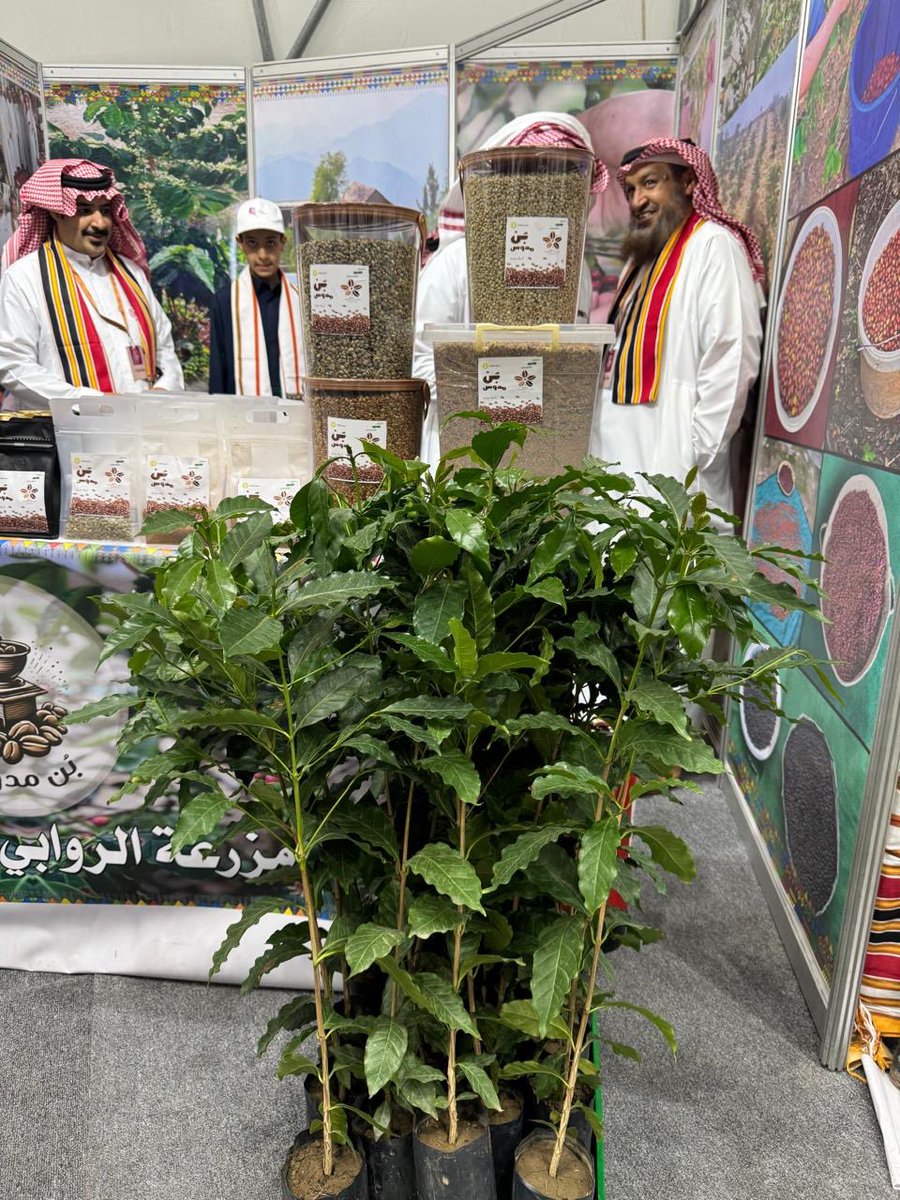 alaiktishaf_tv's tweet photo. برعاية سمو امير منطقة عسير

محافظ رجال المع يفتتح 
مهرجان البن الثاني

افتتح محافظ #محافظة_رجال_المع الاستاذ الحسن بن عبد الخالق الحفظي وبحضور مدير عام فرع وزارة البيئة والمياه والزراعة بمنطقة عسير المهندس أحمد بن محمد آل مجثل وفريق من هيئة تطوير عسير وعدد من مسؤولي الجهات الحكومية والمجتمع المحلي #مهرجان_البن_الثاني بمحافظة رجال ألمع والذي تشرف عليه وزارة البيئة والمياه والزراعة وتنفذه جمعية البن التعاونية بالمحافظة ويتضمن المهرجان الذي يستمر لمدة ثلاثة أيام أركان متعددة لمنتجات البن بحوالي 45 ركن للمنتجين والادارات الحكومية والشركات المنتجة، كما يهدف إلى تسويق منتجات #القهوة_السعودية المميزة والتي تعد إرثاً سعودياً يمثل كرم الضيافة العربية الأصيلة لدى الشعب السعودي.

اعداد : أ.محمد العاصمي
ممثل نادي المعالم السعودية بـ #محايل 
@AsmyMhmd36821