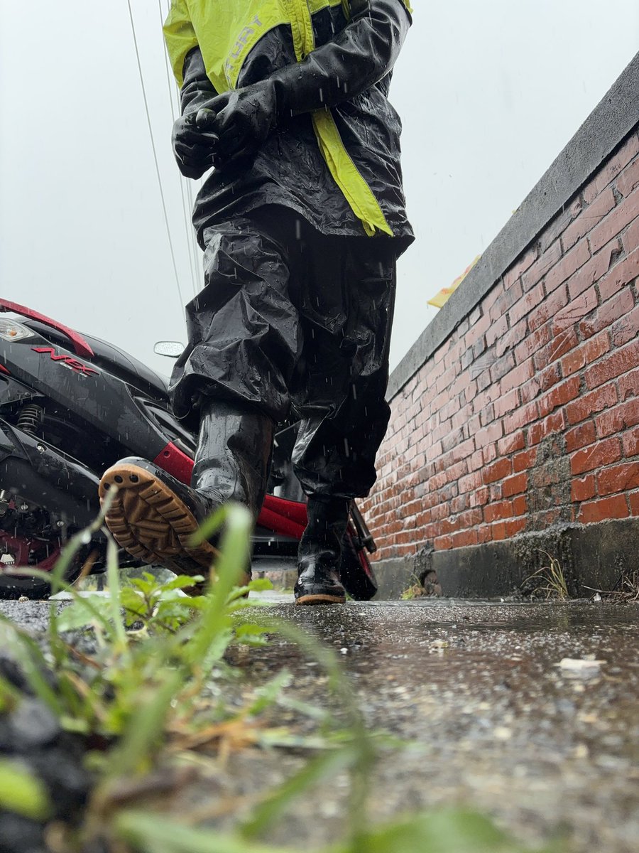 Sins_dog tweet media