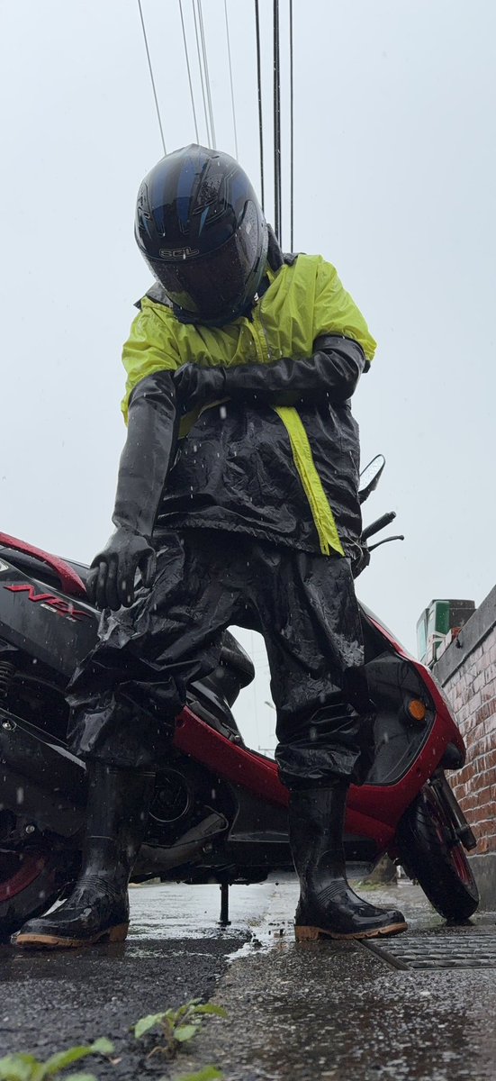 Sins_dog tweet media