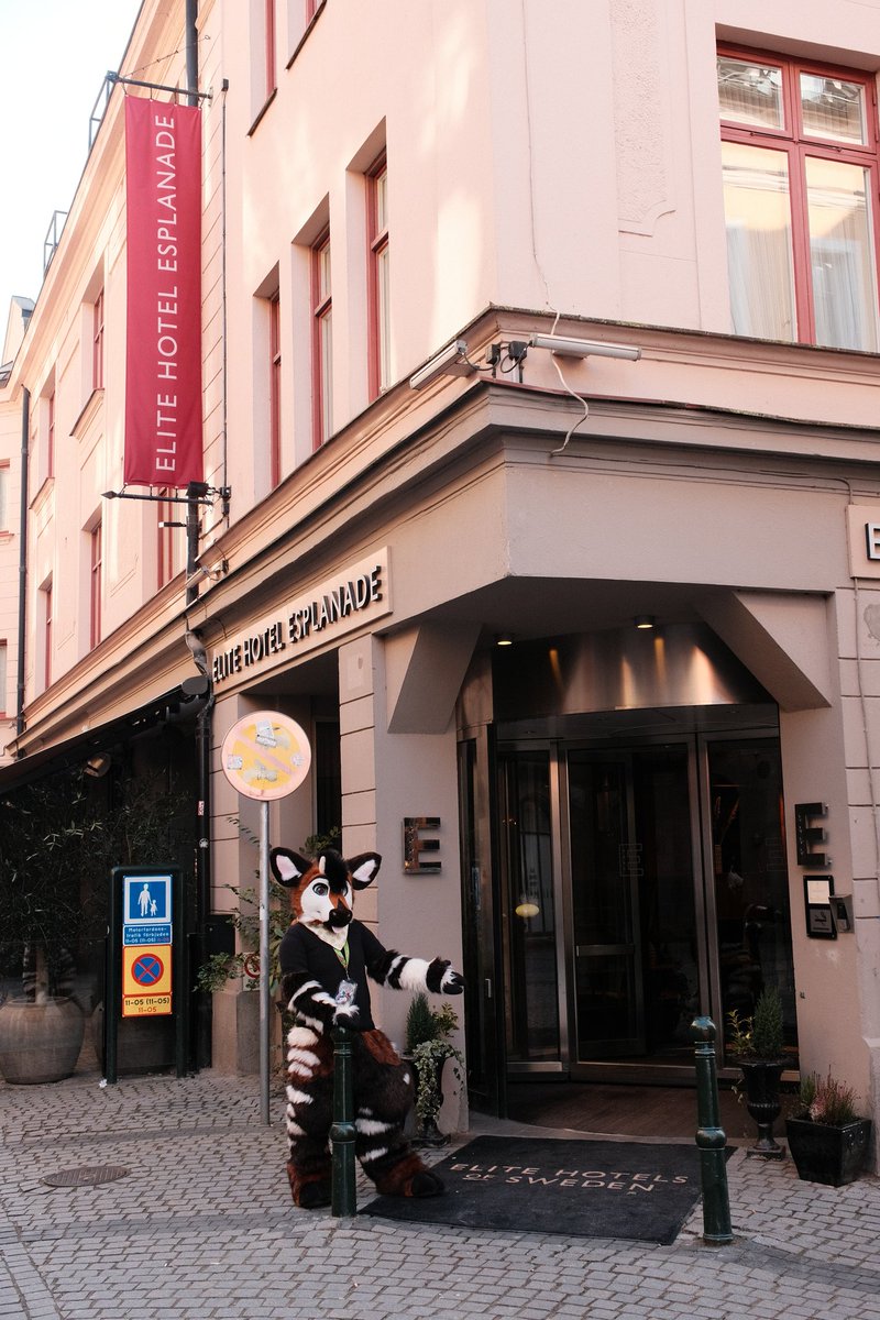 Axel Tyler tweet media