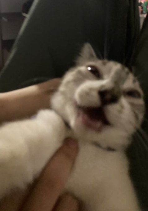 Ｆ Ｒ Ｅ Ｄᵈʳᵃʷ tweet media