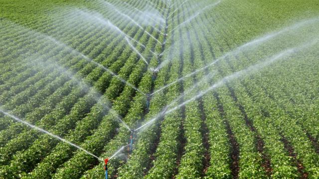 Bireysel sulama sistemleri desteklerinde üst limit yükseltildi

Bireysel sulama sistemlerinin desteklenmesi kapsamında, hibeye esas proje üst limiti 3 milyon liradan 10 milyon liraya çıkarıldı.

<a href="/trthaber/">TRT HABER</a>