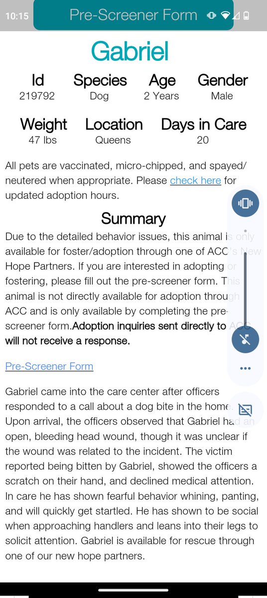 samj_jane's tweet photo. 🎯 NHO New intake 219792
#Quacc Gabriel involved in algd bite incident came in w open bleeding wound 2 head owner had minor scratch 2hand declined medical att his notes below hes a friendly lad seeks attention Ino what I think happened Dm @CathyPolicky #Pledge #FostersSaveLives https://t.co/XKCKGPRL2z