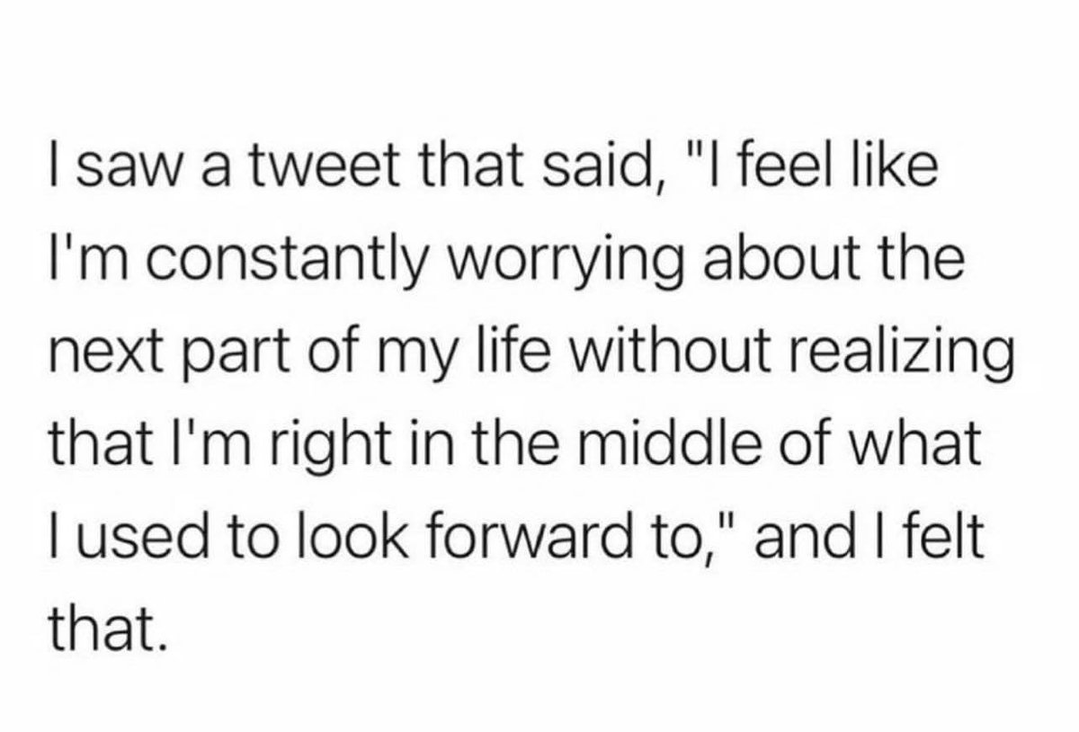 streptofocused's tweet image. 