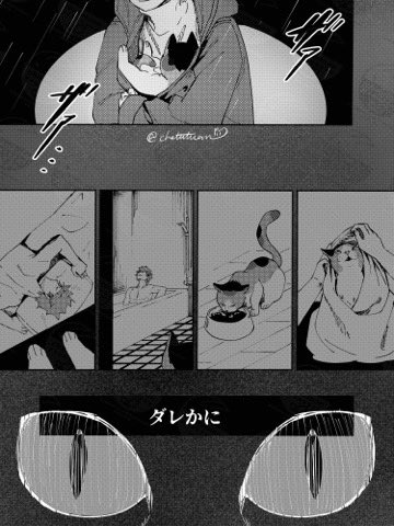 「あの日、猫を拾った」

#猫の日 #研日 #kenhina 