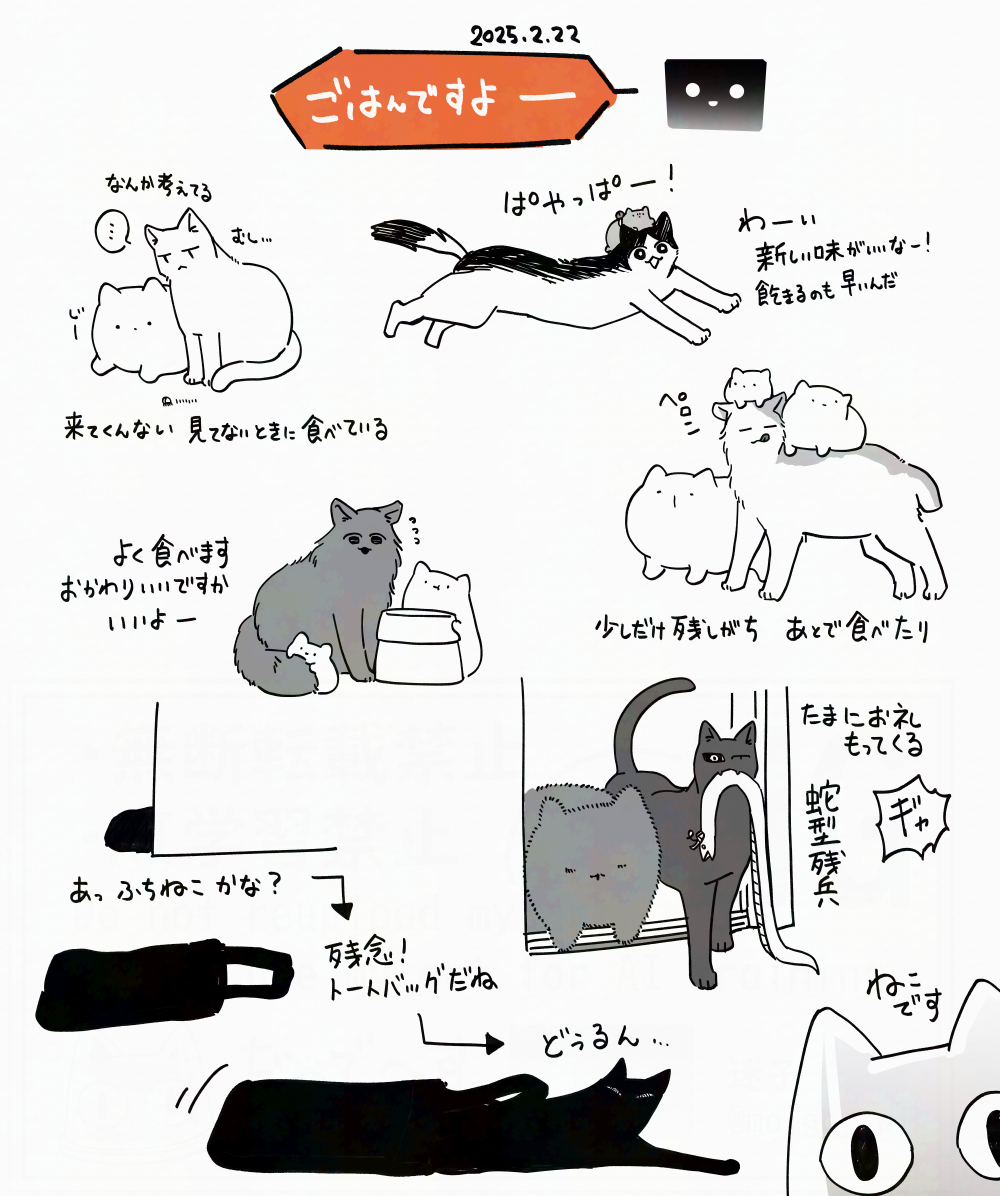 2025.2.22🐈