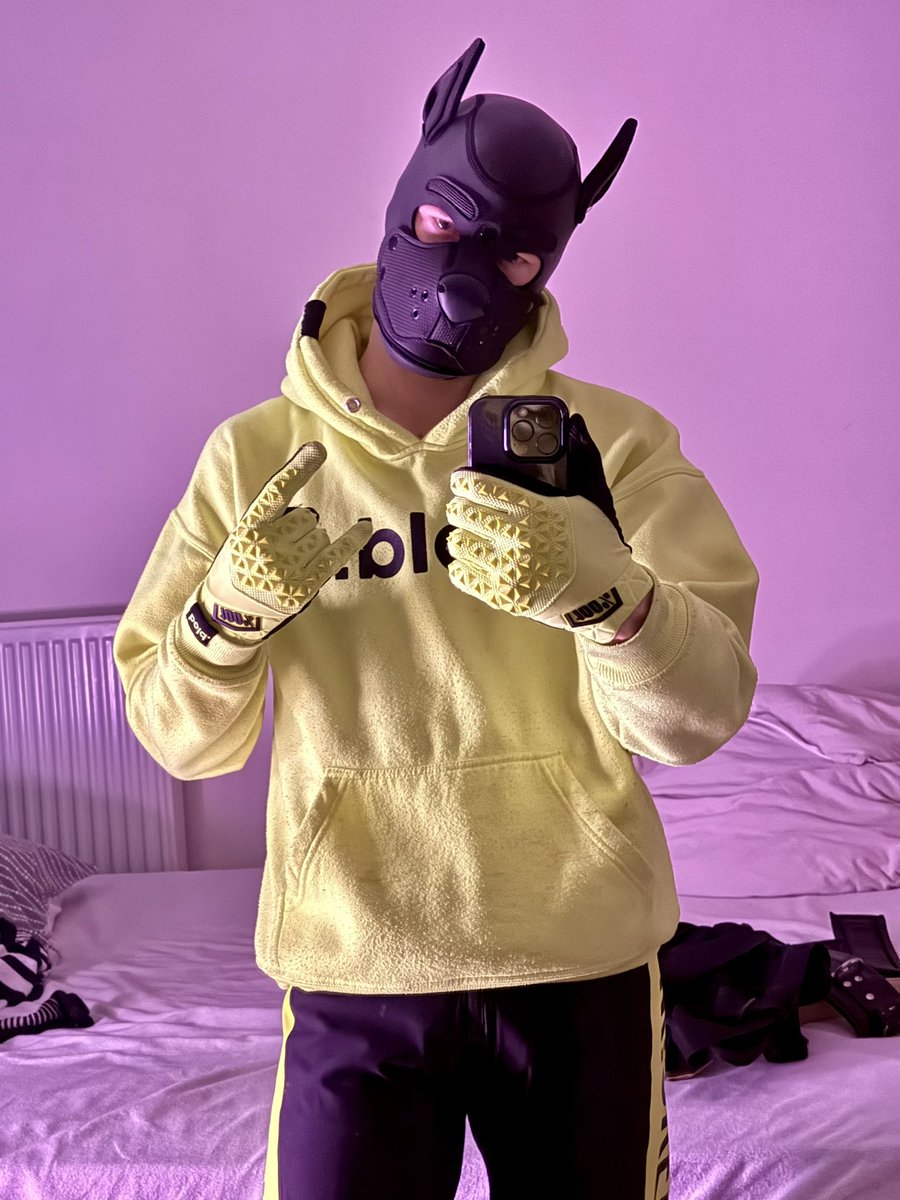 I was told I look like a naughty dog in this new gear, lies lies and more lies 😈
