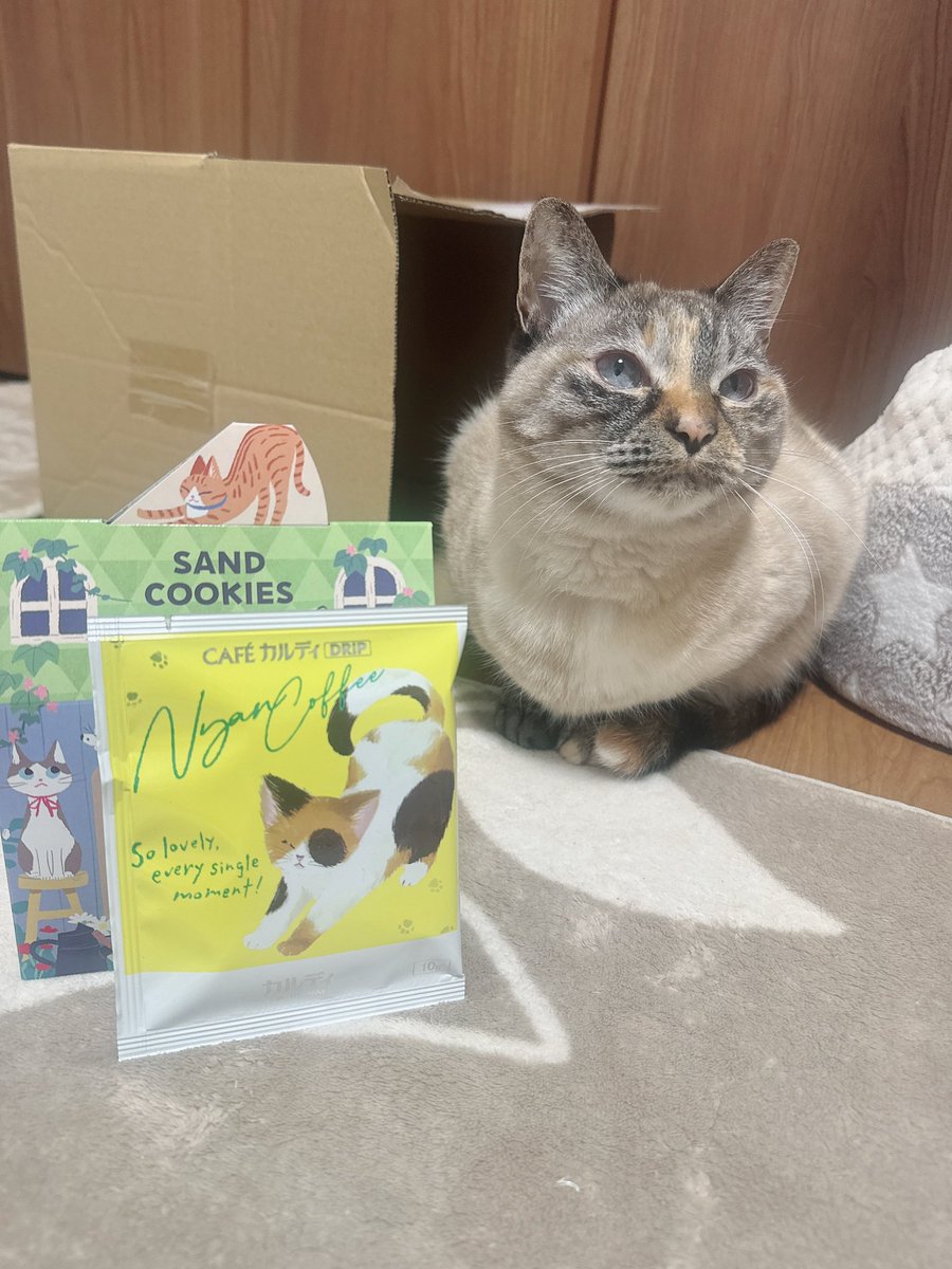 chamiriiii8's tweet photo. #222の日 https://t.co/FwvMmfI2Qy