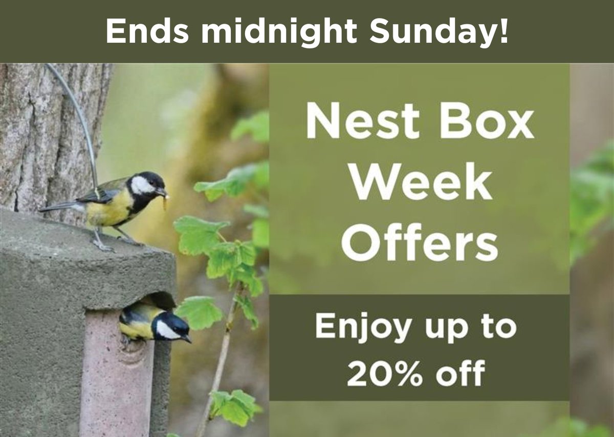 ⏰ It’s your last chance to make the most of our Nest Box Week offer, where you can enjoy up to 20% off a wide range of nest boxes, bird feeders and more.

The sale ends midnight Sunday, so order now at nhbs.com/list/national-…

#nestboxweek #nestboxsale #nestbox #discounts