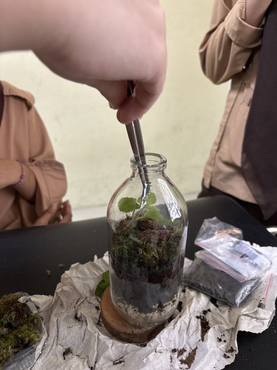 Cheesyberry11's tweet photo. terrarium making https://t.co/BNtuMGBOXh