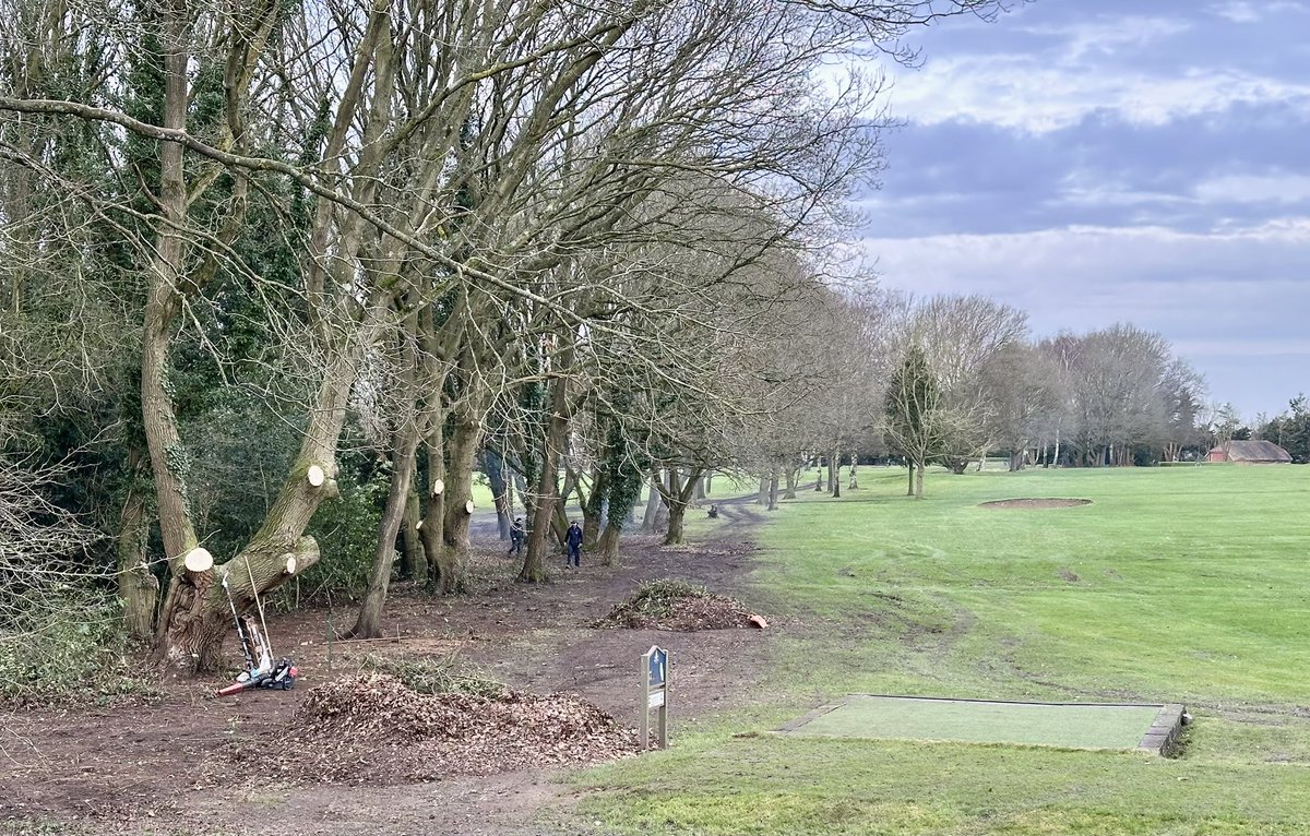 LH4487's tweet photo. 5 weeks in on clearing the 14th copse! Lads have been doing an awesome job keeping on top of the clearing up, weather hasn’t always been on our side but it’s certainly making a difference, be nice to see the area recover in the spring 👍 @AntzXVI @TylerGFive @Romfordgolfclub https://t.co/piAlBY79U7
