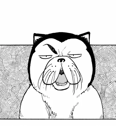 #猫の日 