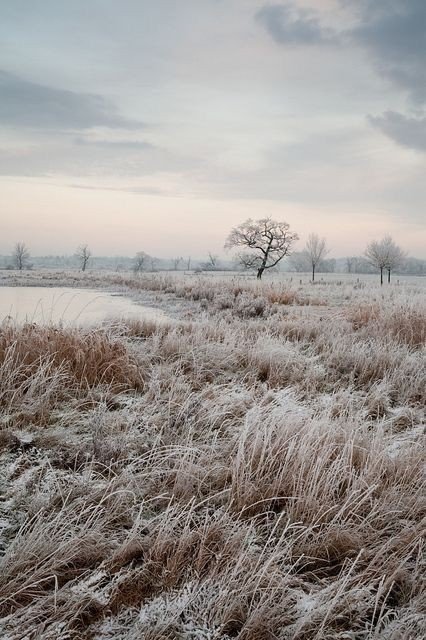 TinaMatina (@matinatina123) on Twitter photo 