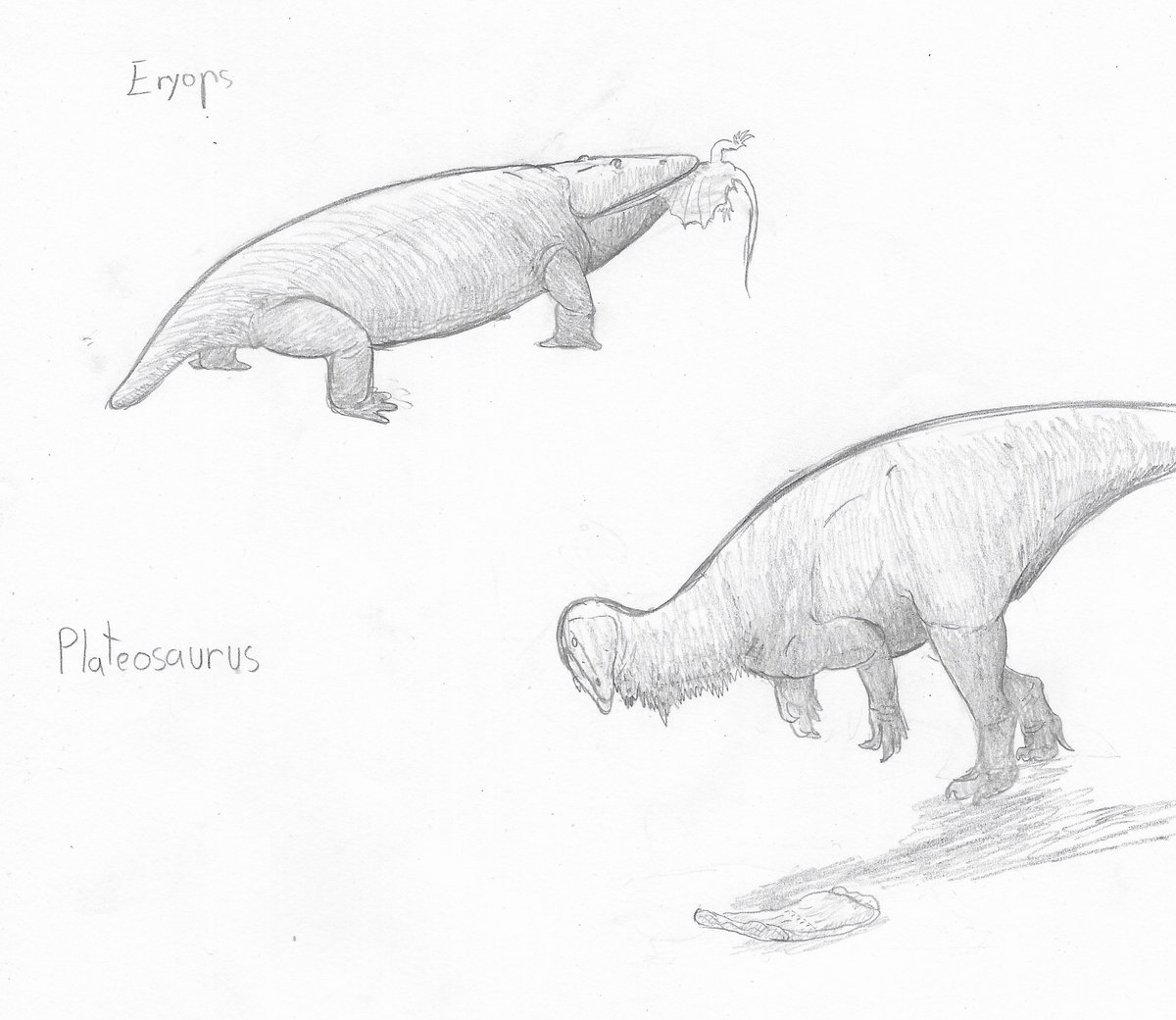 BVisigodo's tweet photo. Sketches from last night´s #paleostream
Eryops and Plateosaurus
#paleoart #sciart #dinosaurs #plateosaurus #temnospondyl #eryops https://t.co/fI9Im7PysM