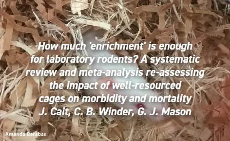 #NewResearchAlert 
"How much 'enrichment' is enough for laboratory rodents? A systematic review and meta-analysis re-assessing the impact of well-resourced cages on morbidity and mortality" by Cait et al. Get the full paper here: applied-ethology.org/iqs/cpti.23/Pa…

#enrichment #rodents