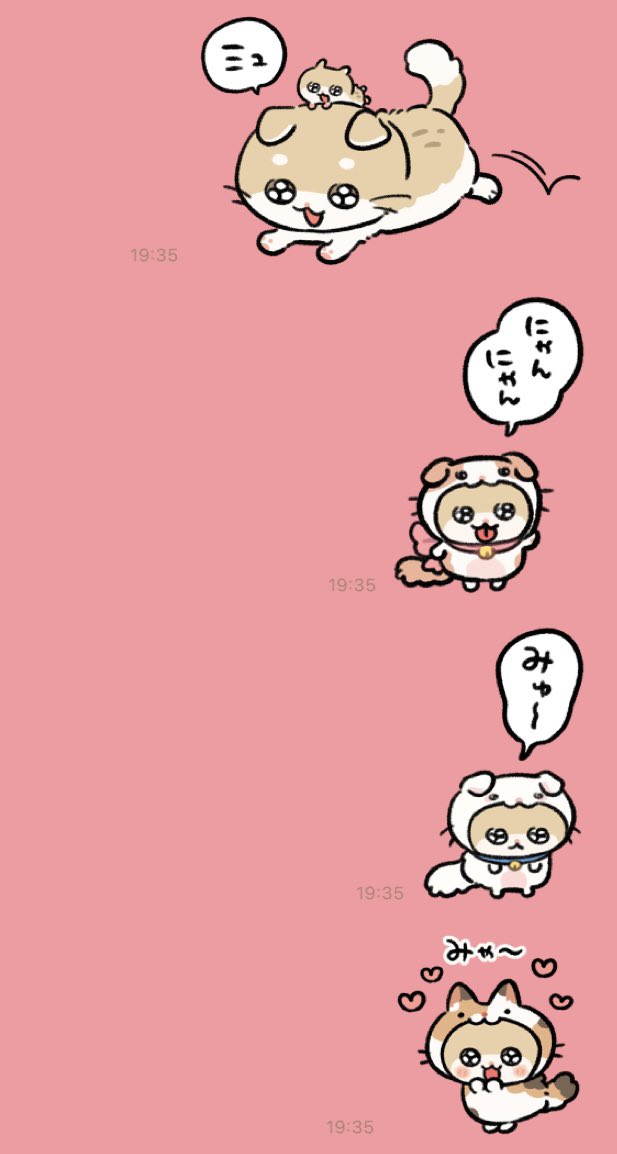 猫の日 #コビハムちゃん