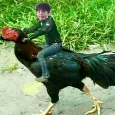junghwanpodonk's tweet photo. @hantaesac Aku harus parkir dimana nih hyung?? https://t.co/LDbiM7Z9Bv