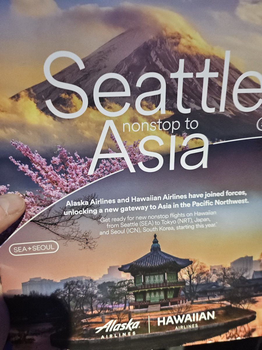 𝕏ela𝕏ndr✨ tweet media